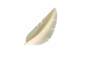 LRN- Chocolate Feather White Decoration - Small 224 x 2g